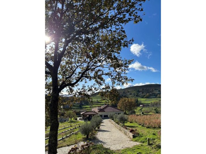 Image No.7-3 Bed House for sale