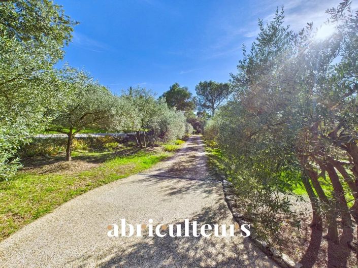 Image No.3-4 Bed House for sale