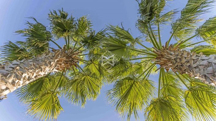 Image No.21-5 Bed House for sale