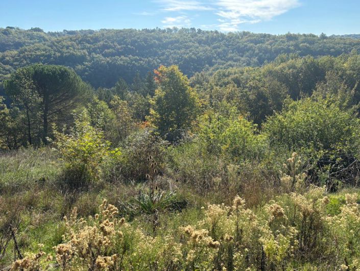 Image No.3-Maison de 2 chambres à vendre à Bélaye