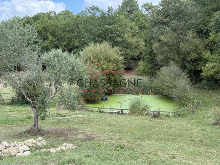 Image No.5-5 Bed House for sale