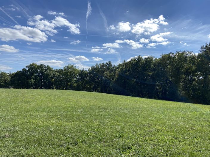 Image No.28-3 Bed House for sale