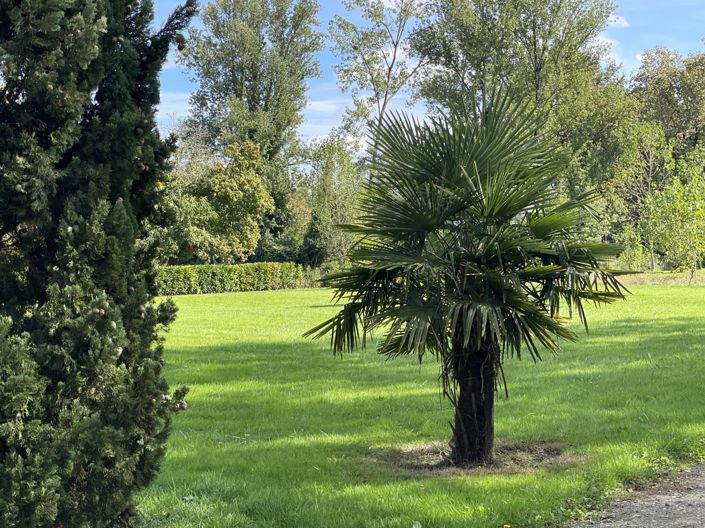 Image No.22-4 Bed House for sale