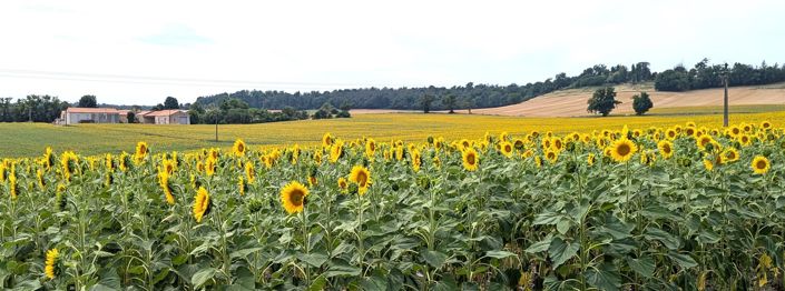 Image No.43-Maison de 4 chambres à vendre à Ribérac