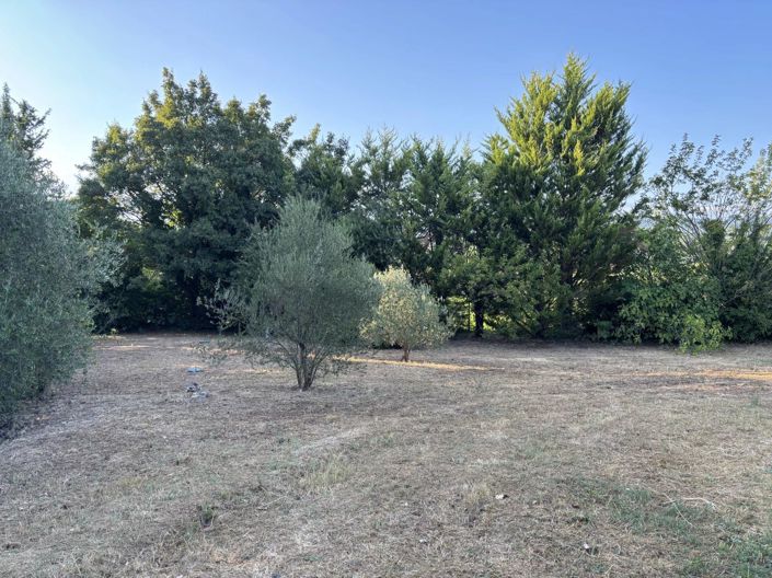 Image No.12-3 Bed House for sale