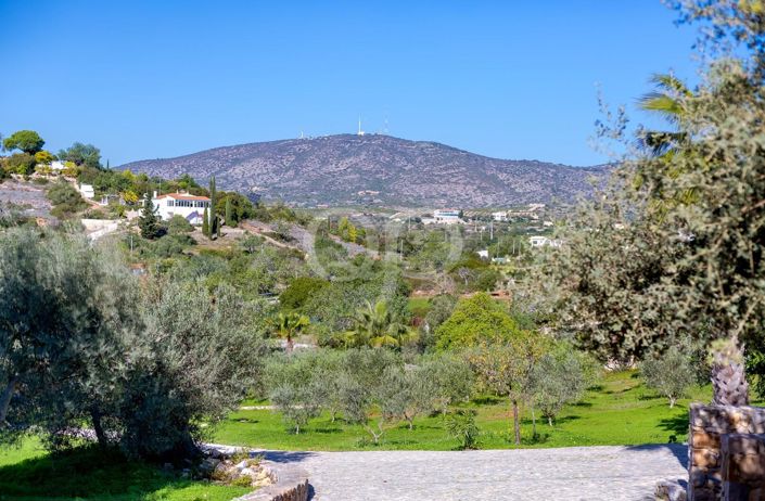 Image No.45-3 Bed House for sale