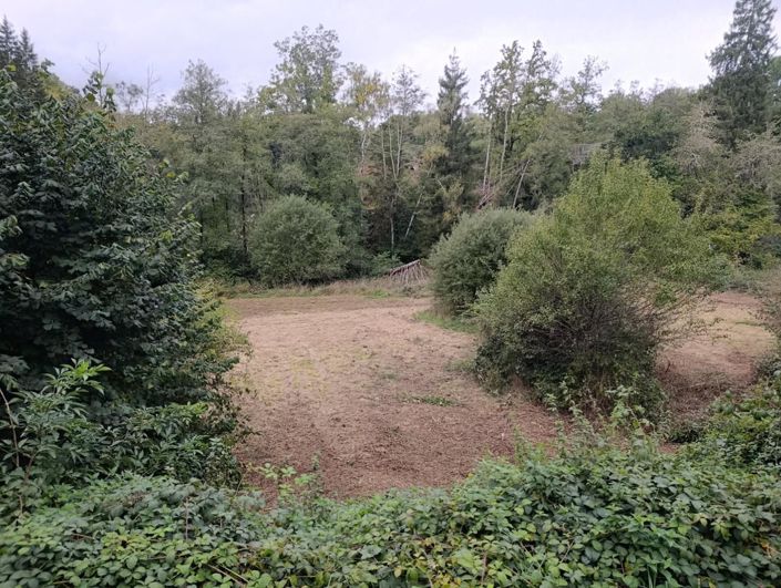 Image No.4-5 Bed House for sale