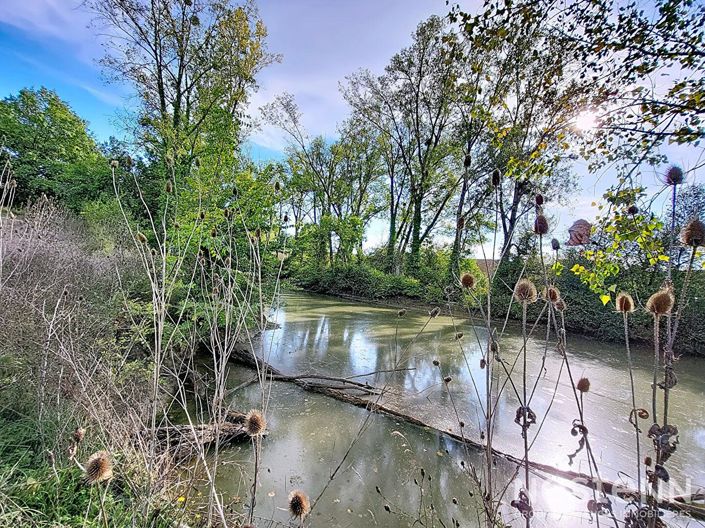 Image No.5-Maison de 4 chambres à vendre à Mézin