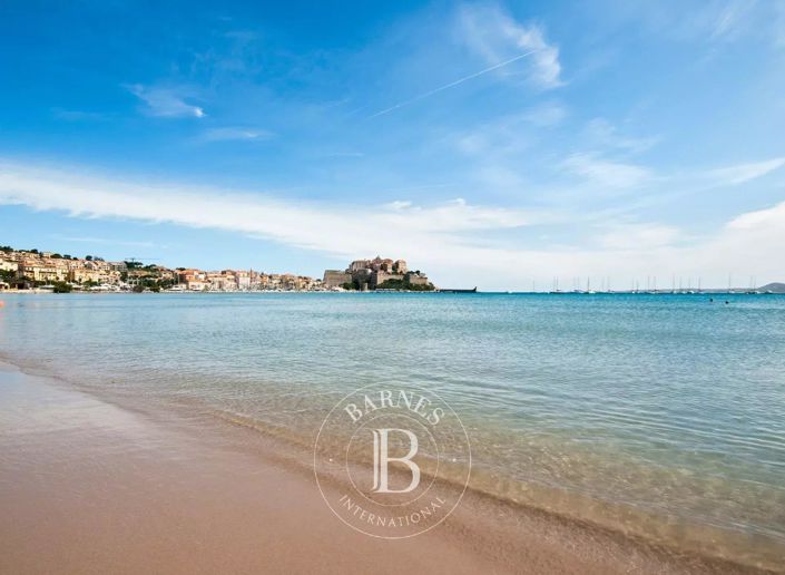 Image No.3-Propriété à vendre à Calvi