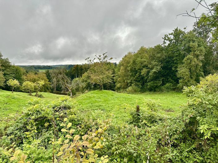 Image No.4-2 Bed House for sale