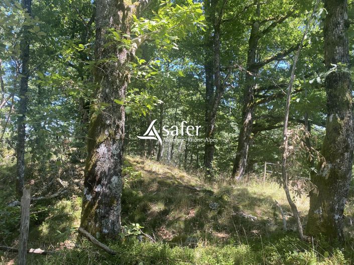 Image No.6-Maison de 2 chambres à vendre à Champs-sur-Tarentaine-Marchal