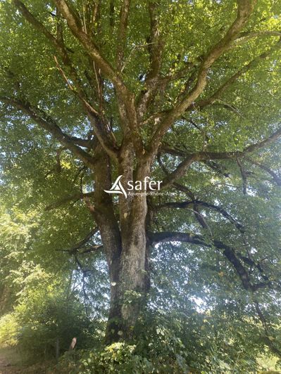 Image No.7-Maison de 2 chambres à vendre à Champs-sur-Tarentaine-Marchal