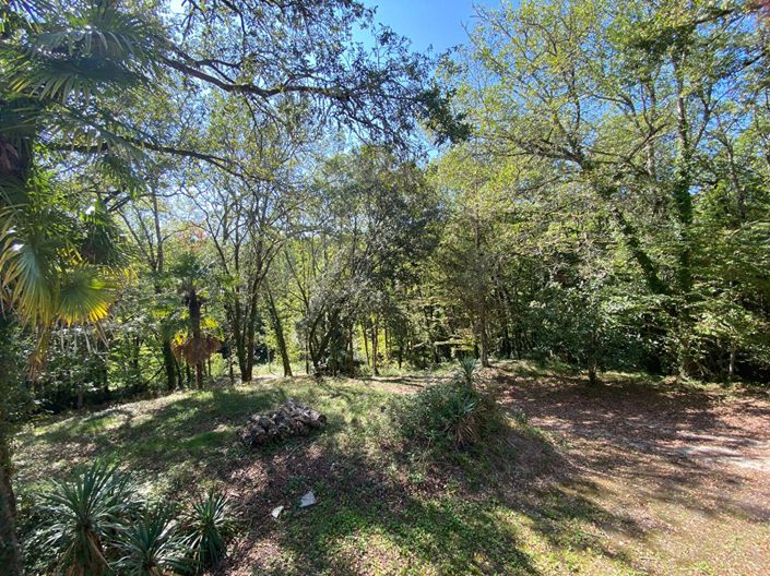Image No.16-Maison de 3 chambres à vendre à Vitrac