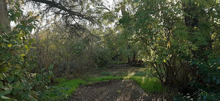 Image No.45-Maison de 5 chambres à vendre à Donzac