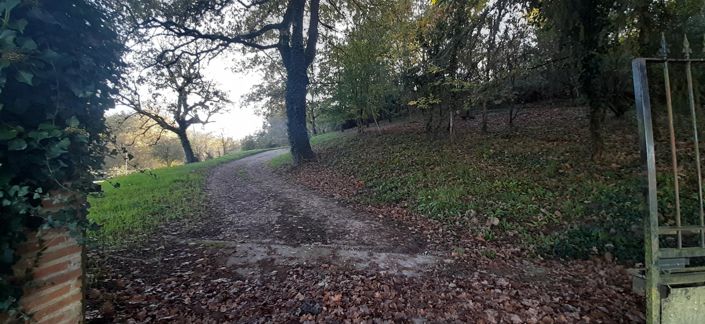 Image No.7-Maison de 5 chambres à vendre à Donzac