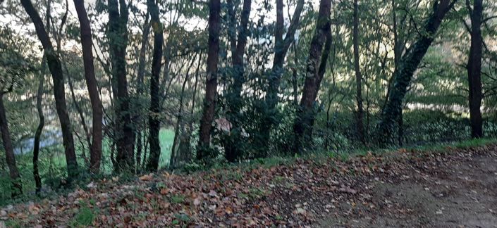 Image No.8-5 Bed House for sale