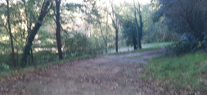 Image No.9-Maison de 5 chambres à vendre à Donzac