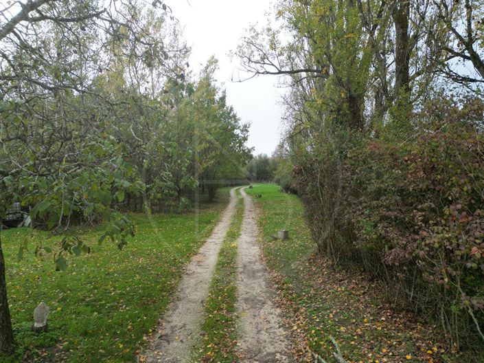 Image No.16-Maison de 3 chambres à vendre à Villefranche-de-Lonchat