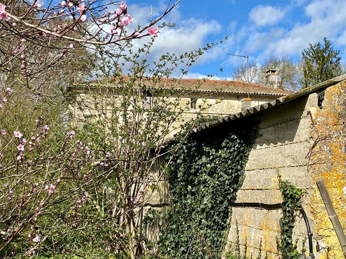 Image No.17-4 Bed House for sale