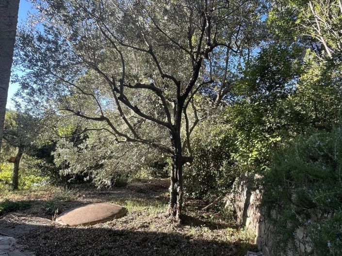 Image No.19-3 Bed House for sale