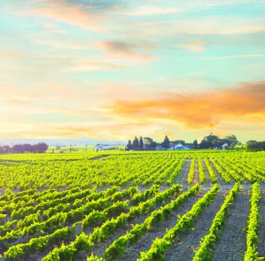 Image No.12-10 Bed House for sale