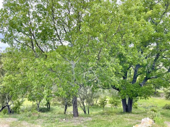 Image No.15-4 Bed House for sale