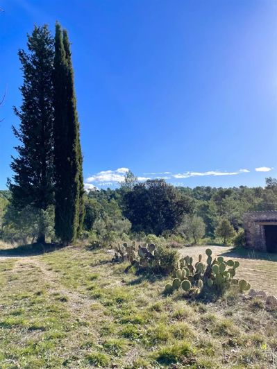 Image No.31-4 Bed House for sale