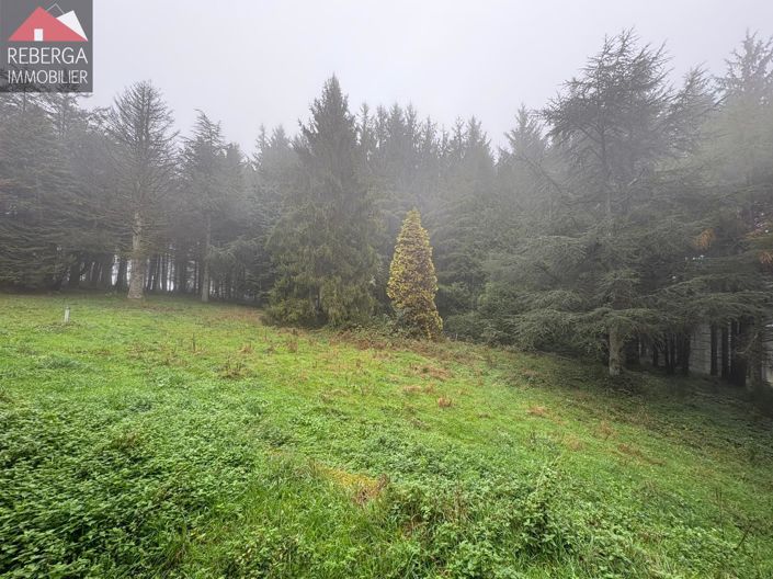 Image No.36-3 Bed House for sale