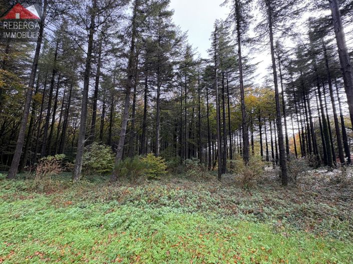 Image No.47-3 Bed House for sale