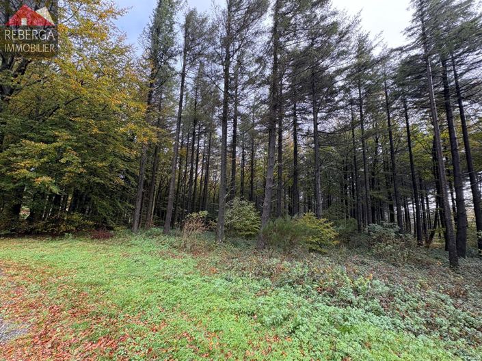 Image No.49-3 Bed House for sale