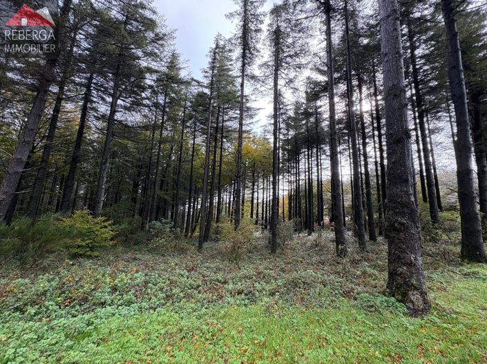 Image No.49-3 Bed House for sale