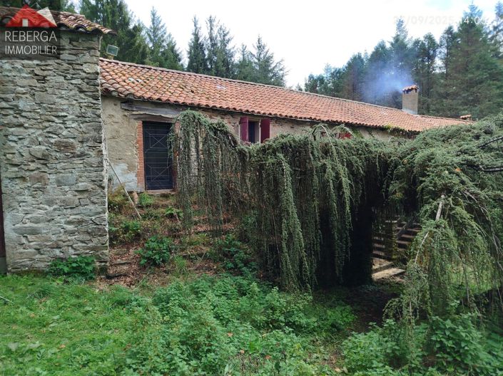 Image No.52-3 Bed House for sale