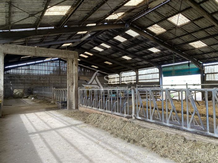 Image No.6-Maison à vendre à Saint-Martin-en-Haut