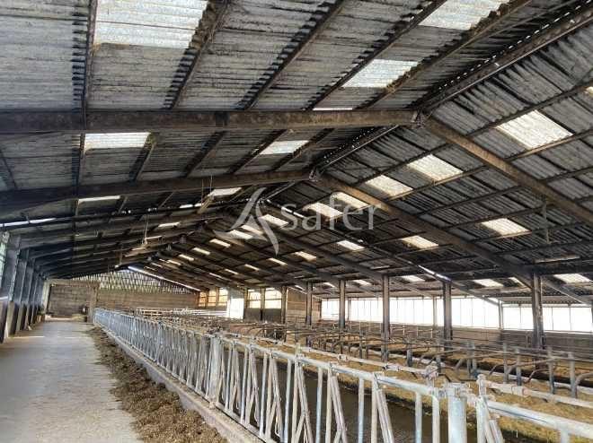 Image No.7-Maison à vendre à Saint-Martin-en-Haut