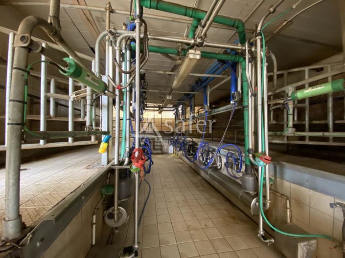 Image No.8-Maison à vendre à Saint-Martin-en-Haut