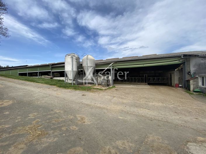 Image No.9-Maison à vendre à Saint-Martin-en-Haut