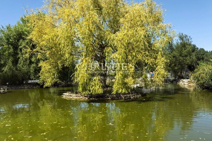 Image No.22-4 Bed House for sale