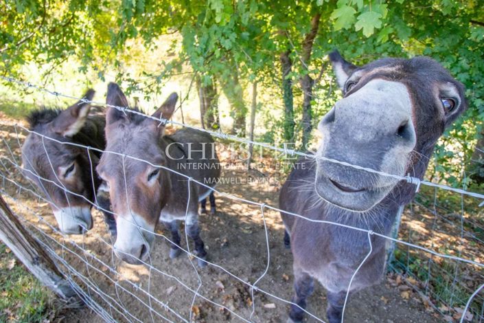 Image No.6-3 Bed House for sale