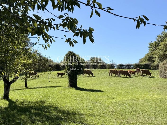 Image No.36-8 Bed House for sale