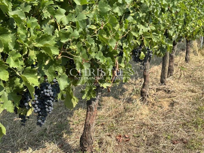 Image No.28-4 Bed House for sale