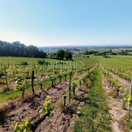 6 Bed House for sale