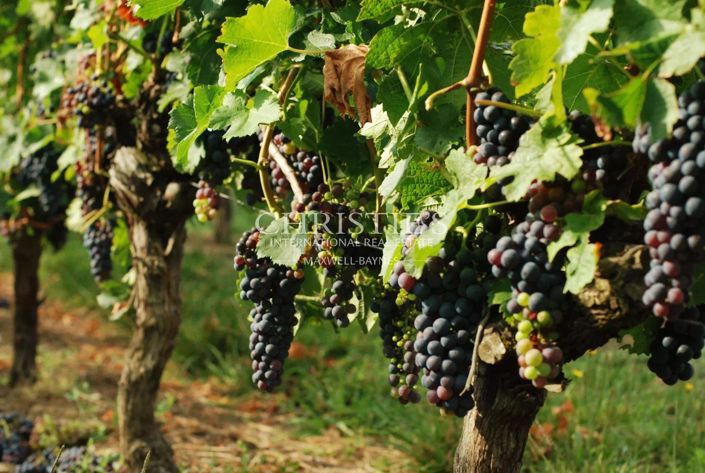 Image No.2-Maison de 3 chambres à vendre à Gironde