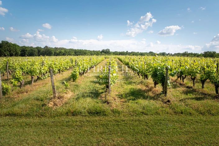 Image No.4-Maison de 6 chambres à vendre à Montreuil-Bellay