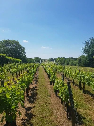 Image No.16-Maison de 7 chambres à vendre à Saint-Emilion