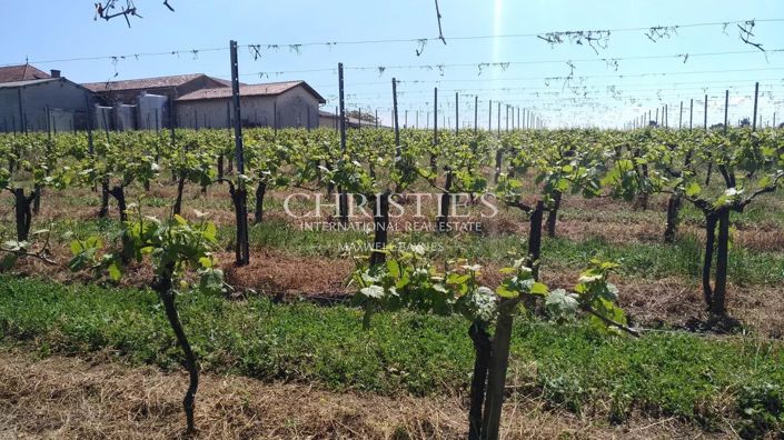 Image No.3-Maison à vendre à Gironde