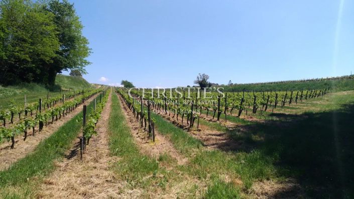 Image No.4-House for sale