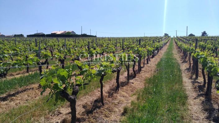 Image No.5-House for sale