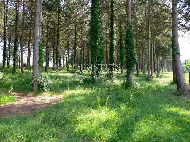 Image No.30-6 Bed House for sale