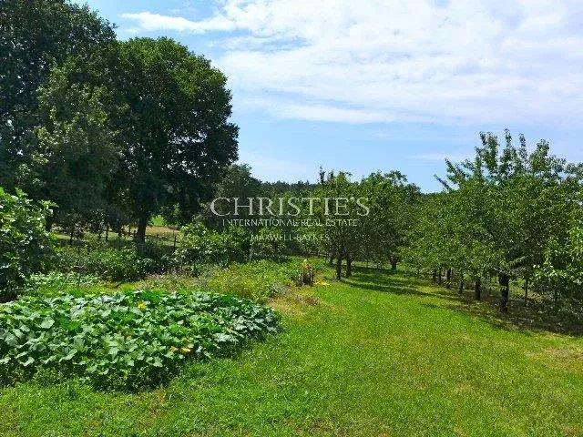 Image No.33-6 Bed House for sale