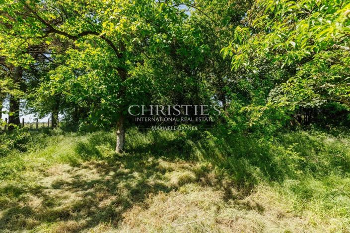 Image No.10-6 Bed House for sale